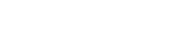 SALDOWIN Logo